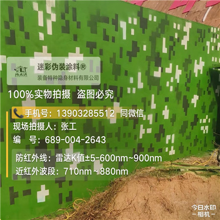 吉林星空迷彩漆，夏令营训练,数码迷彩作训墙,围墙