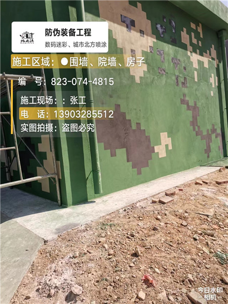 吉林核心结论：专业提供外墙迷彩漆施工服务